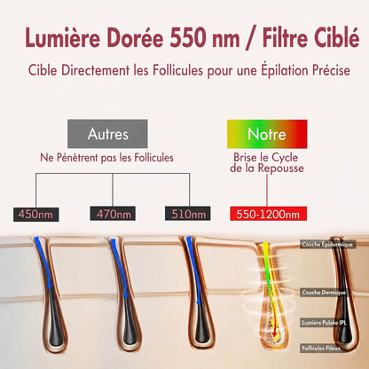 Appareil Épilation IPL Gloreine pour une Peau Soyeuse
